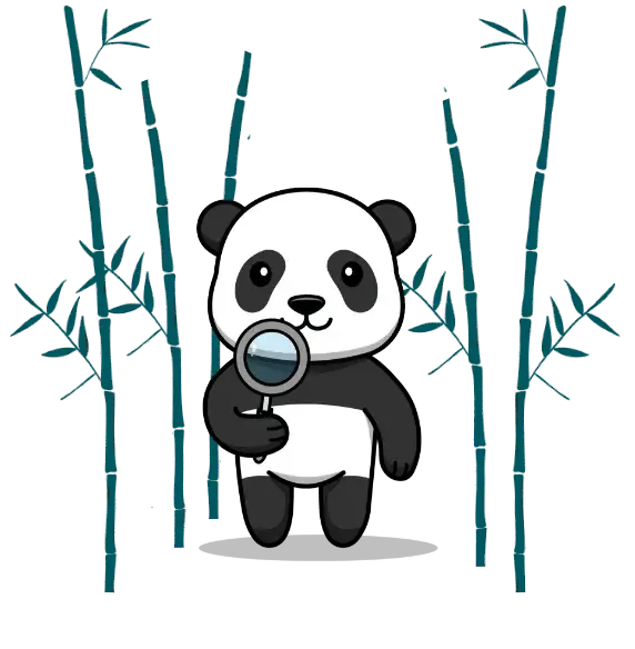 agence seo valenciennes panda communication