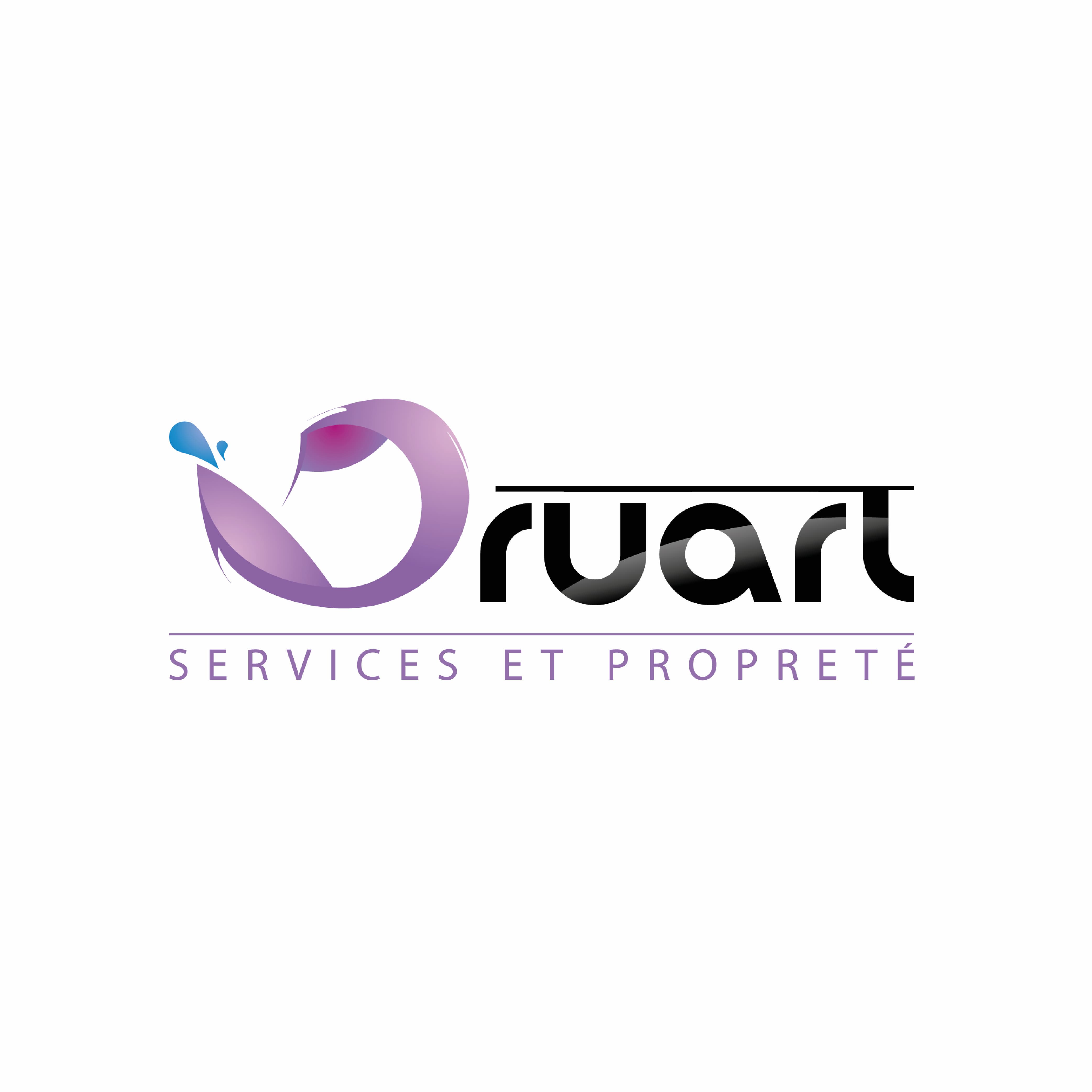 logo Druart