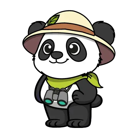 Panda explorateur au chapeau et jumelles, mascotte d'une agence web responsable et soucieuse de l'environnement